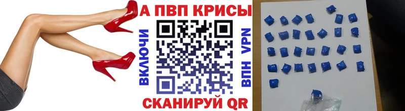 A PVP СК  Химки 