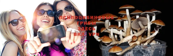 стаф Вязники