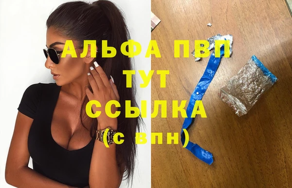 стаф Вязники