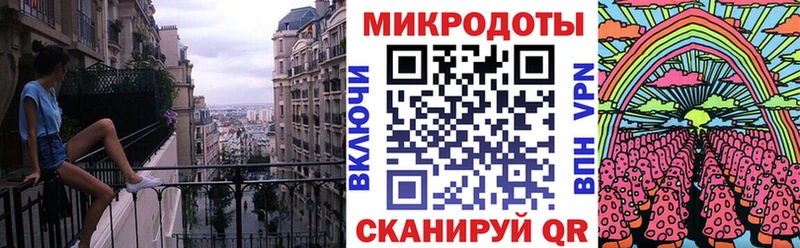 Галлюциногенные грибы Psilocybe  Химки 